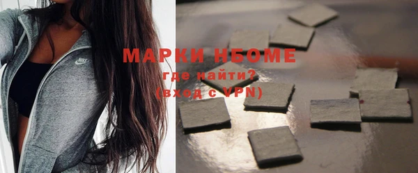 индика Семилуки