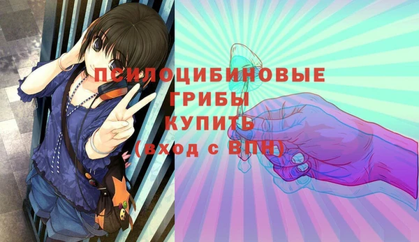 индика Семилуки