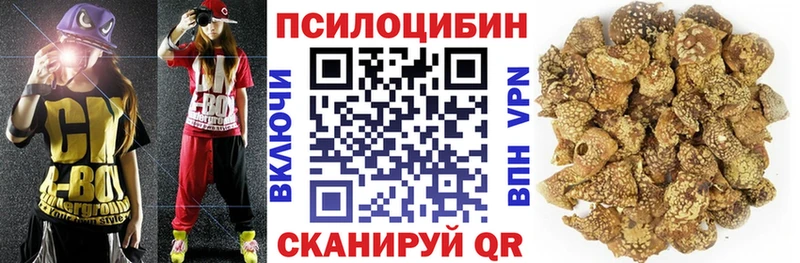 Галлюциногенные грибы GOLDEN TEACHER  Купить закладки  Ялта 